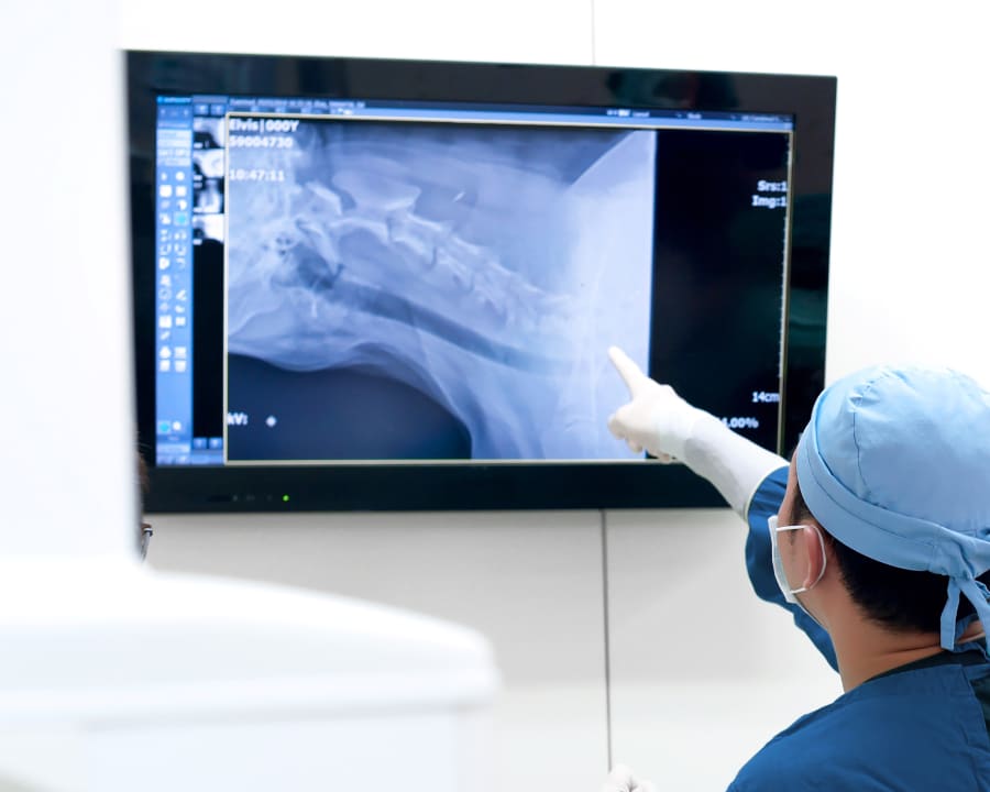 Veterinary Diagnostic Lab in Roswell 